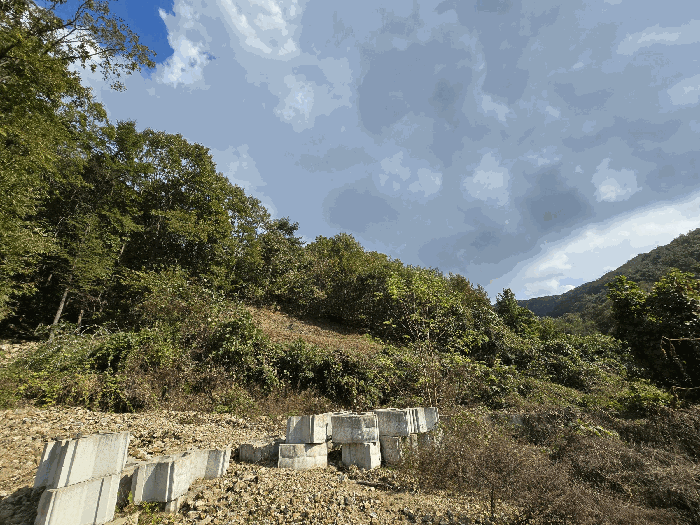 충남 예산군 대술면 임야 경매 물건 사진 5 · 2025타경16048