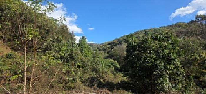 충남 예산군 대술면 임야 경매 물건 사진 4 · 2025타경16048