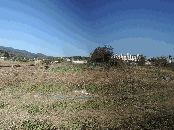 충남 예산군 덕산면 전 경매 물건 사진 3 · 2025타경16072