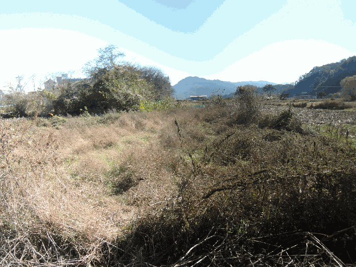 충남 예산군 덕산면 전 경매 물건 사진 5 · 2025타경16072