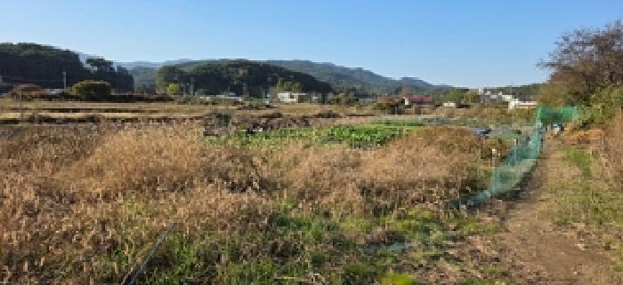 충남 예산군 덕산면 전 경매 물건 사진