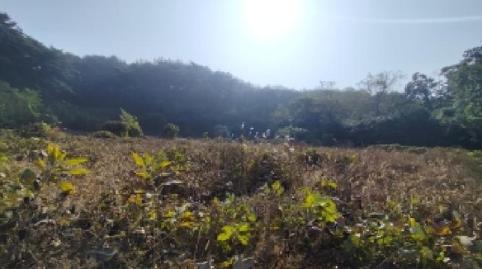 충남 보령시 남포면 답 경매 물건 사진