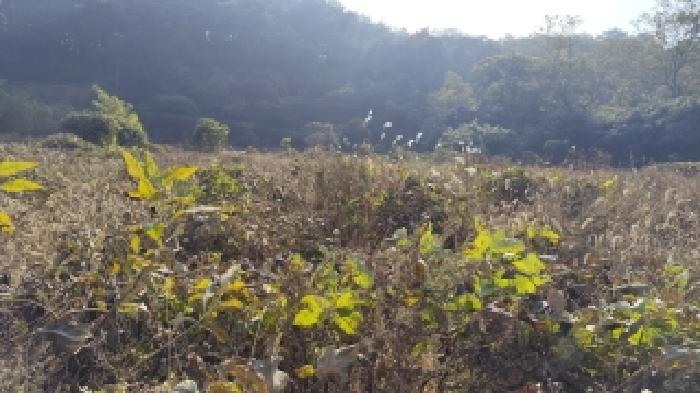 충남 보령시 남포면 답 경매 물건 사진 3 · 2025타경16073