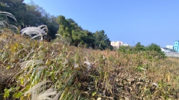 충남 보령시 남포면 답 경매 물건 사진 4 · 2025타경16073