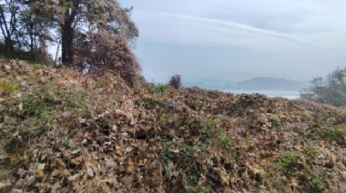 충남 홍성군 은하면 전 경매 물건 사진