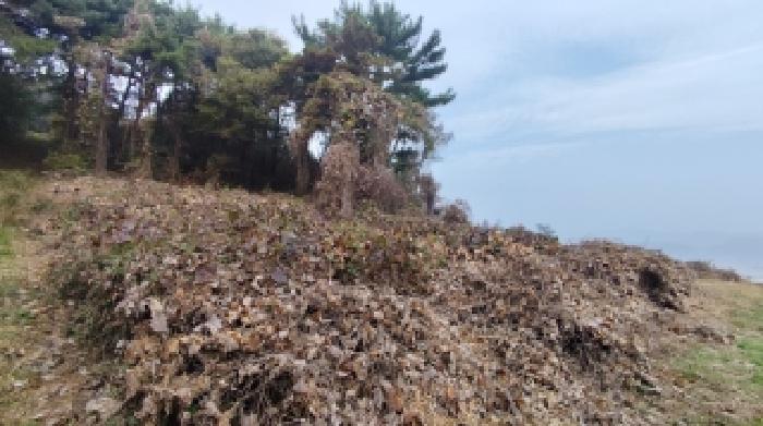 충남 홍성군 은하면 전 경매 물건 사진 2 · 2025타경16075