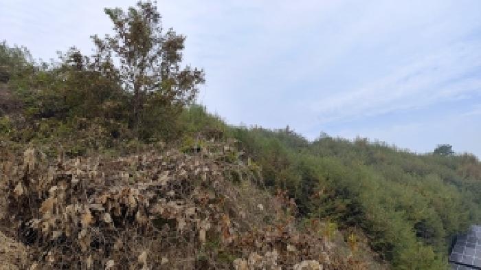 충남 홍성군 은하면 전 경매 물건 사진 3 · 2025타경16075