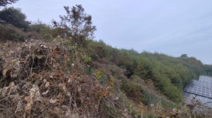 충남 홍성군 은하면 전 경매 물건 사진 4 · 2025타경16075