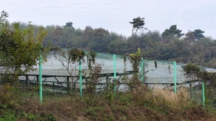 충남 홍성군 은하면 전 경매 물건 사진 5 · 2025타경16075