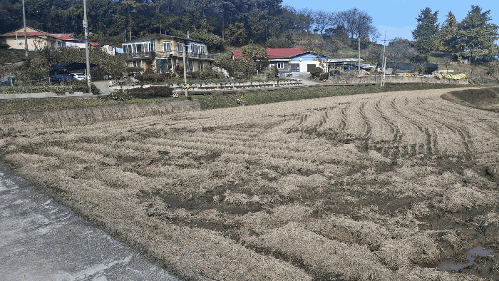 충남 예산군 응봉면 전답 경매 물건 사진 6 · 2025타경16077