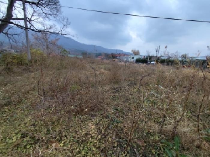 충남 보령시 남포면 전답 경매 물건 사진