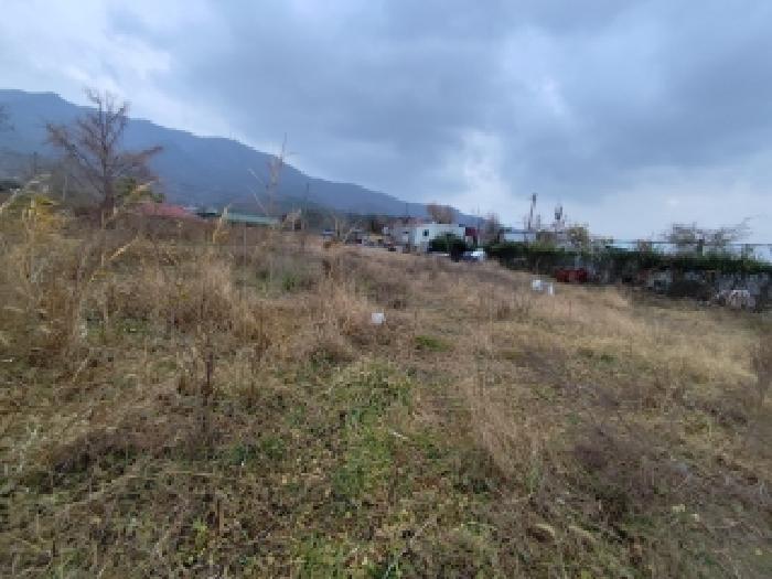 충남 보령시 남포면 전답 경매 물건 사진 2 · 2025타경16095