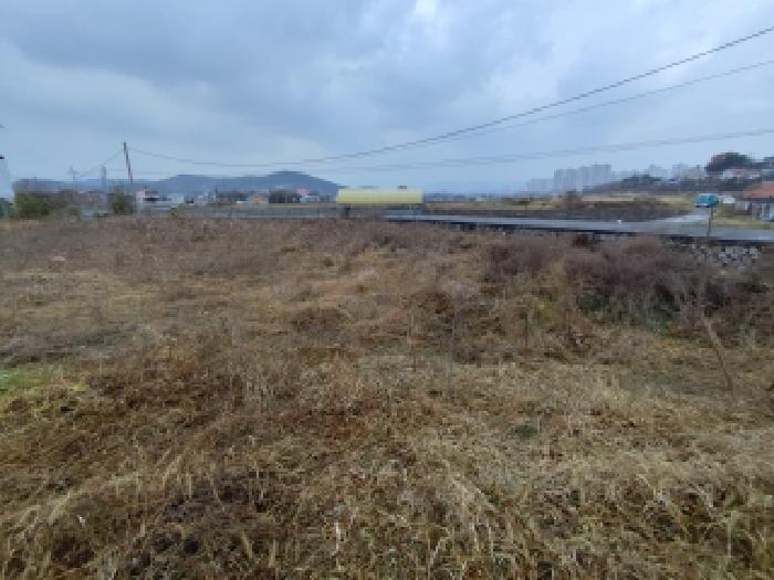 충남 보령시 남포면 전답 경매 물건 사진 3 · 2025타경16095