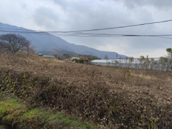 충남 보령시 남포면 전답 경매 물건 사진 4 · 2025타경16095