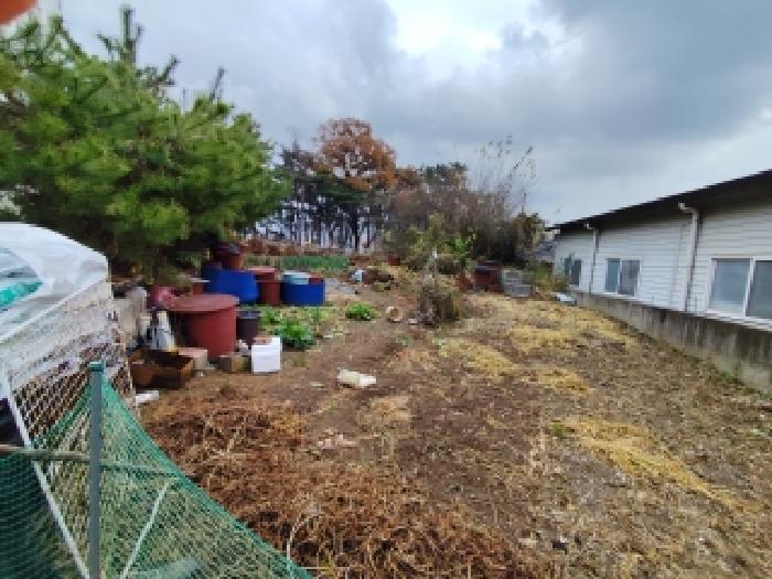 충남 보령시 죽정동 대지,임야,전답 경매 물건 사진