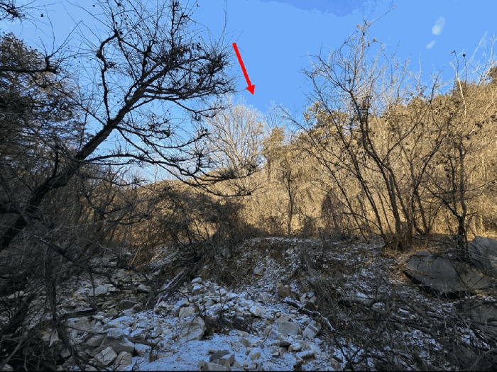 충남 예산군 봉산면 임야 경매 물건 사진 2 · 2025타경16129