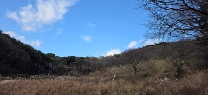 충남 예산군 봉산면 임야 경매 물건 사진
