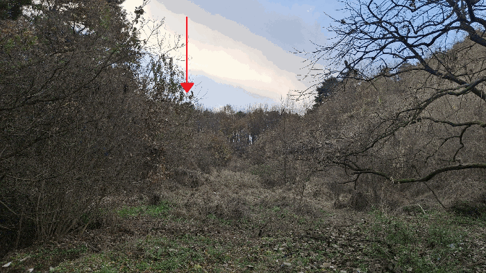 충남 예산군 예산읍 임야 경매 물건 사진 4 · 2025타경16134