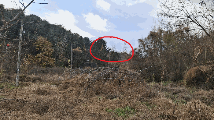 충남 예산군 예산읍 임야 경매 물건 사진 6 · 2025타경16134