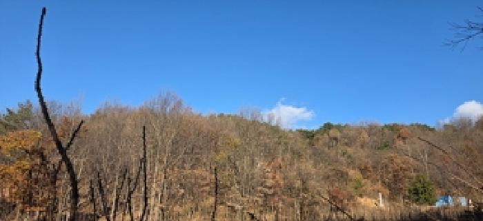 충남 예산군 예산읍 임야 경매 물건 사진