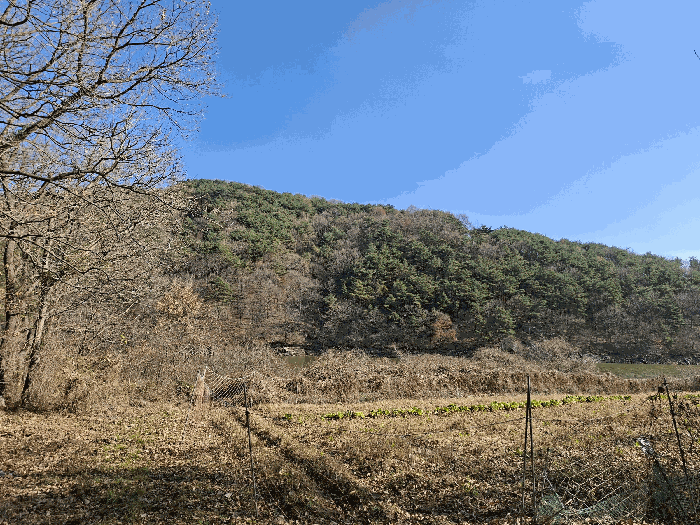 충남 홍성군 갈산면 임야 경매 물건 사진 6 · 2025타경16135