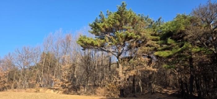 충남 홍성군 갈산면 임야 경매 물건 사진 2 · 2025타경16135