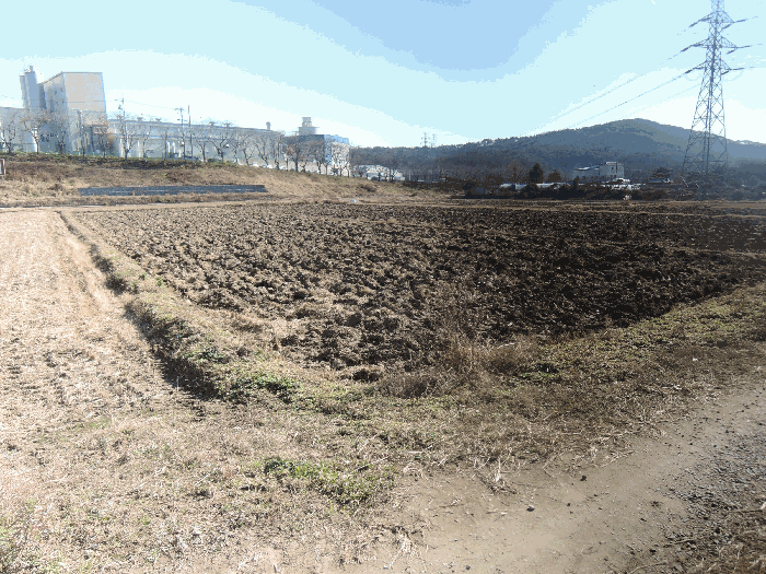 충남 홍성군 구항면 전답 경매 물건 사진 6 · 2025타경16142