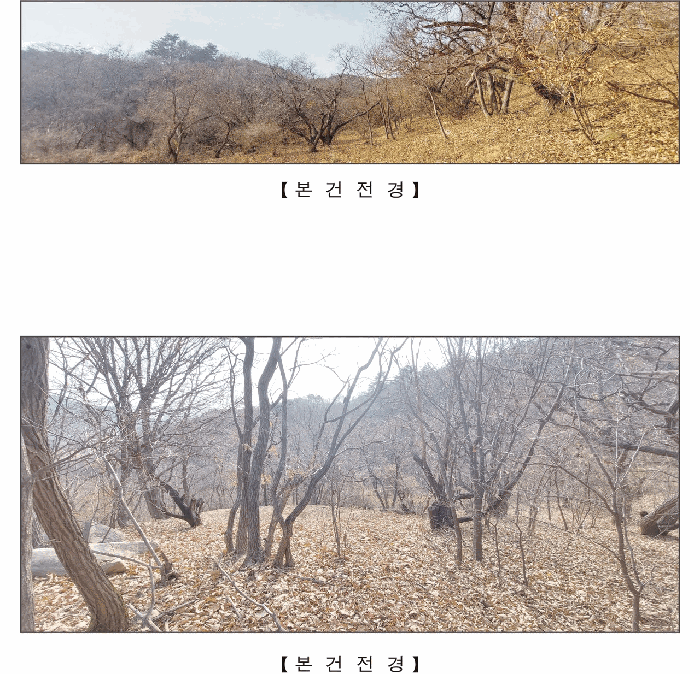 충남 예산군 덕산면 임야 경매 물건 사진 4 · 2025타경16148