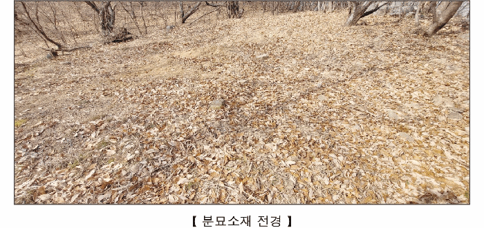충남 예산군 덕산면 임야 경매 물건 사진 5 · 2025타경16148