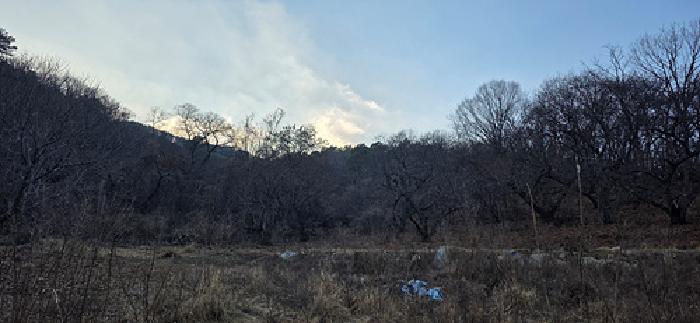 충남 예산군 덕산면 임야 경매 물건 사진