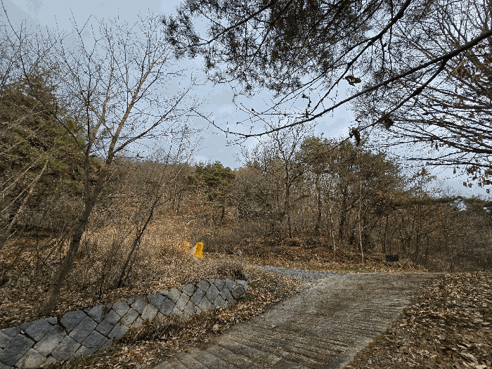 충남 예산군 광시면 임야 경매 물건 사진 3 · 2025타경16154