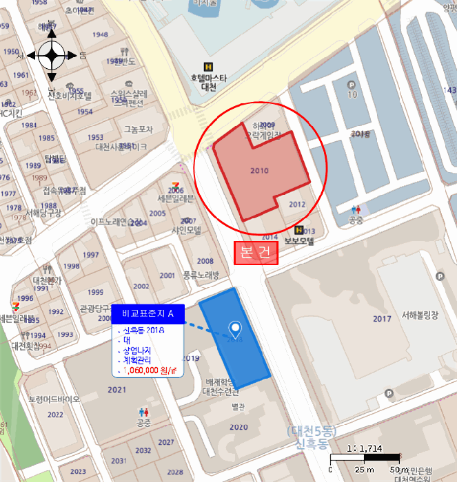 충남 보령시 신흑동 대지 경매 물건 사진 5 · 2025타경16157