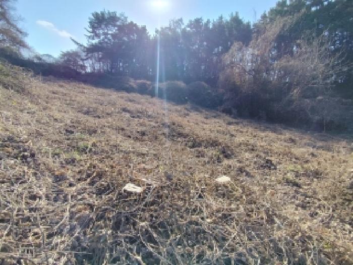 충남 보령시 웅천읍 대지,임야,전답 경매 물건 사진 2 · 2025타경16164