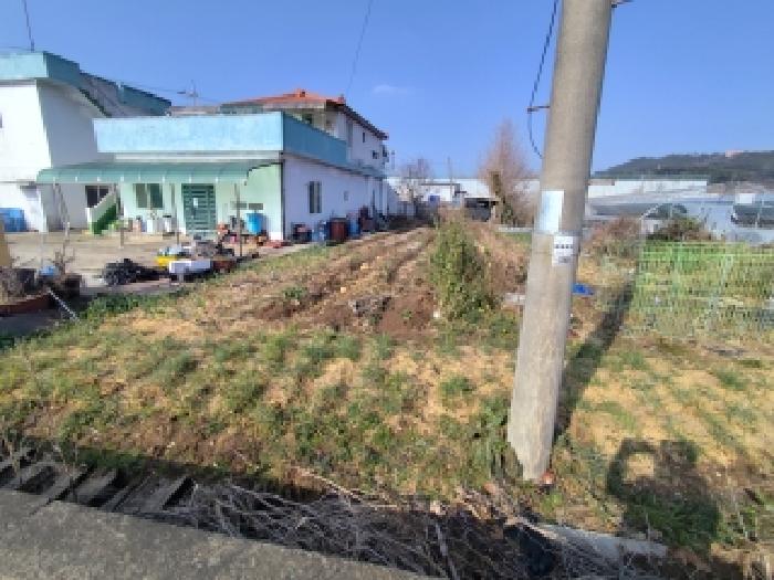 충남 보령시 요암동 단독주택다가구 경매 물건 사진 3 · 2025타경16168