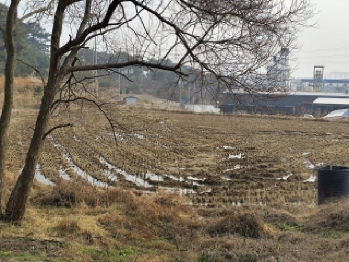 충남 보령시 주교면 대지,임야,전답 경매 물건 사진