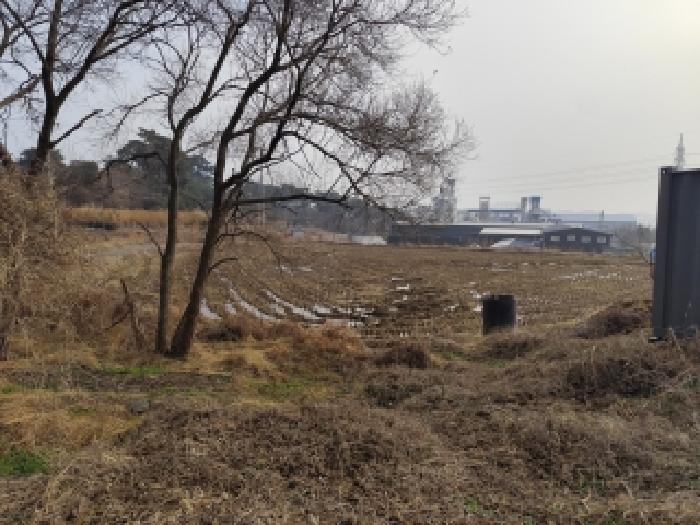 충남 보령시 주교면 대지,임야,전답 경매 물건 사진 2 · 2025타경16169