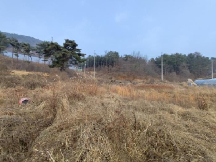 충남 보령시 주교면 대지,임야,전답 경매 물건 사진 3 · 2025타경16169