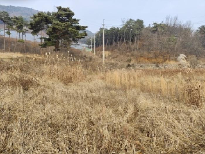 충남 보령시 주교면 대지,임야,전답 경매 물건 사진 4 · 2025타경16169