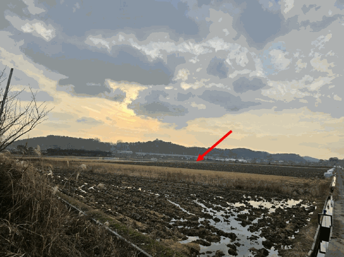 충남 서천군 마서면 대지,임야,전답 경매 물건 사진 6 · 2025타경16173
