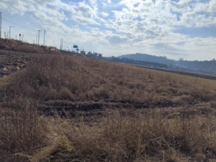 충남 서천군 마서면 대지,임야,전답 경매 물건 사진