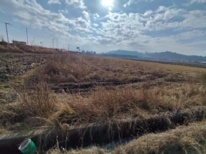 충남 서천군 마서면 대지,임야,전답 경매 물건 사진 2 · 2025타경16173