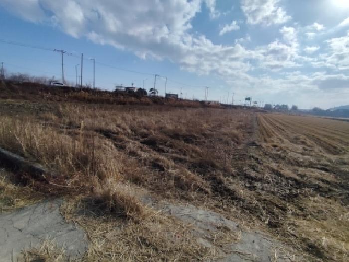 충남 서천군 마서면 대지,임야,전답 경매 물건 사진 3 · 2025타경16173