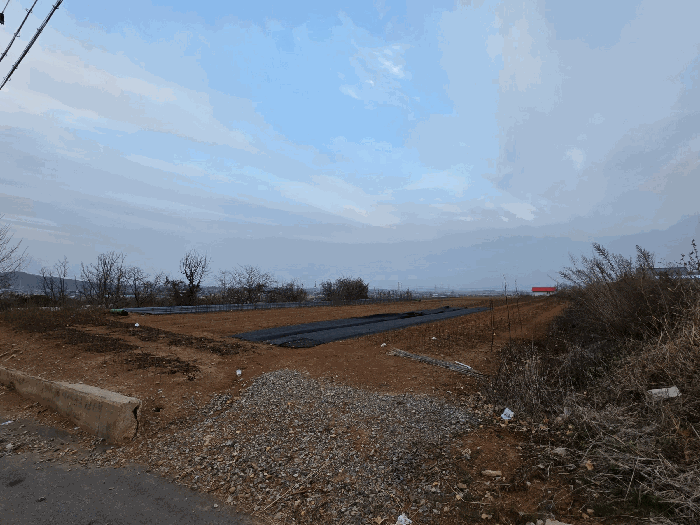 충남 예산군 덕산면 답 경매 물건 사진 6 · 2025타경16174