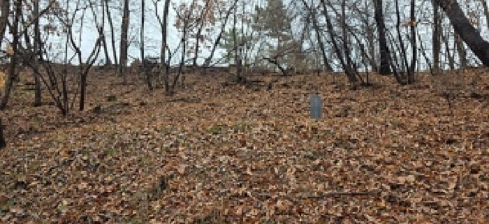 충남 홍성군 장곡면 대지,임야,전답 경매 물건 사진