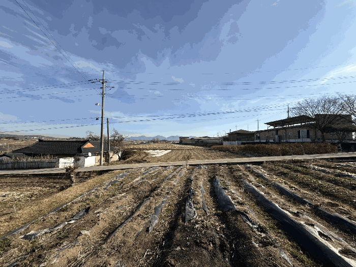 충남 예산군 오가면 전답 경매 물건 사진 4 · 2025타경16183