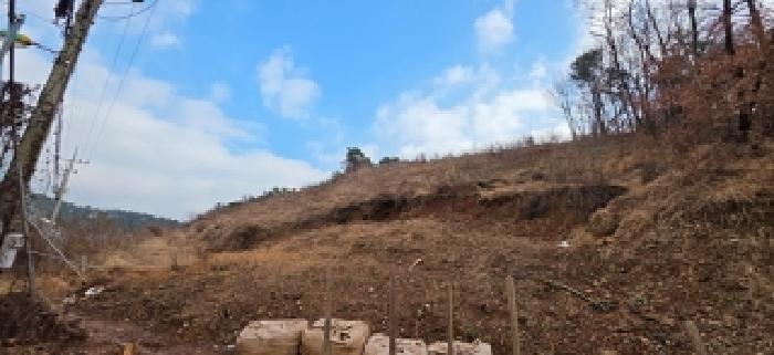충남 예산군 예산읍 과수원 경매 물건 사진 2 · 2025타경16185