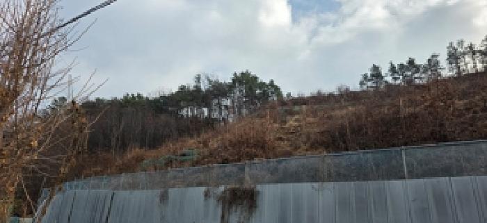 충남 예산군 예산읍 과수원 경매 물건 사진 6 · 2025타경16185