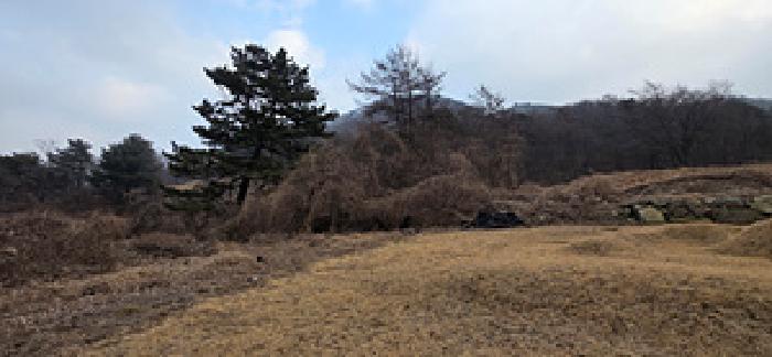 충남 예산군 덕산면 전답 경매 물건 사진 3 · 2025타경16191