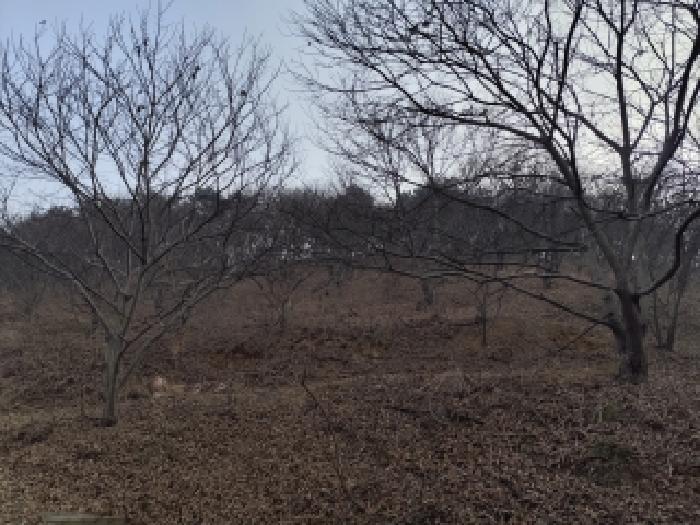 충남 서천군 시초면 임야 경매 물건 사진