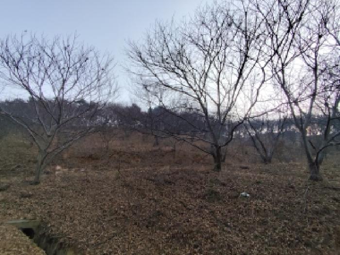 충남 서천군 시초면 임야 경매 물건 사진 2 · 2025타경16206